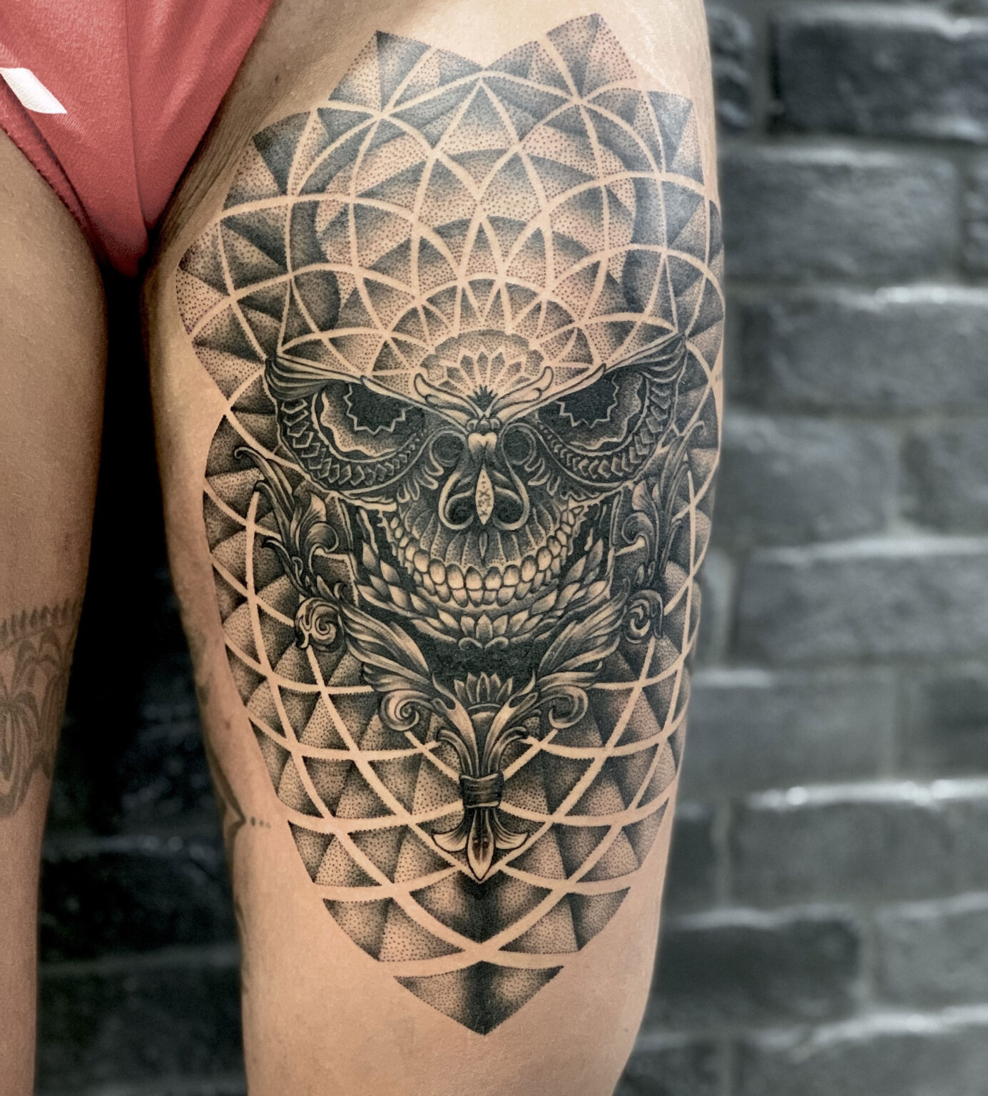 owl-scaled.jpg